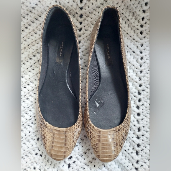 Ann Taylor Snakeskin ballet flats 8 - Picture 2 of 7